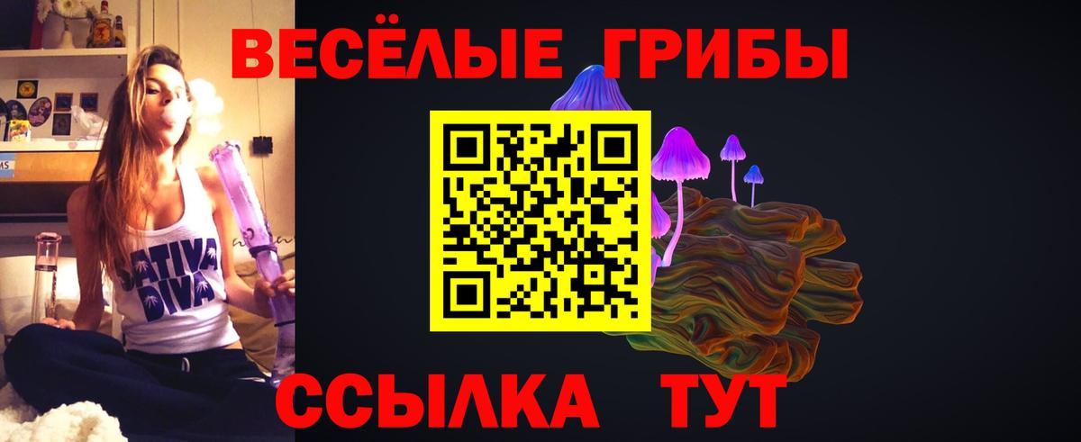Псилоцибиновые грибы Cubensis  Вход с VPN  Галлюциногенные грибы мухоморы  где купить наркоту  Новозыбков 